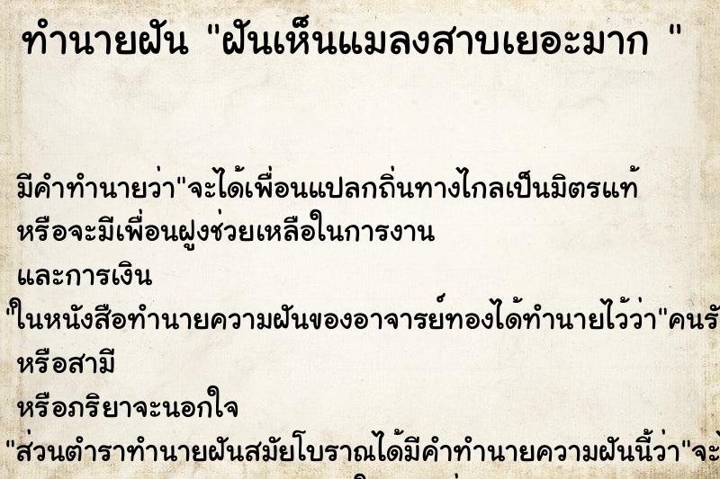 ทำนายฝัน ฝันเห็นแมลงสาบเยอะมาก 